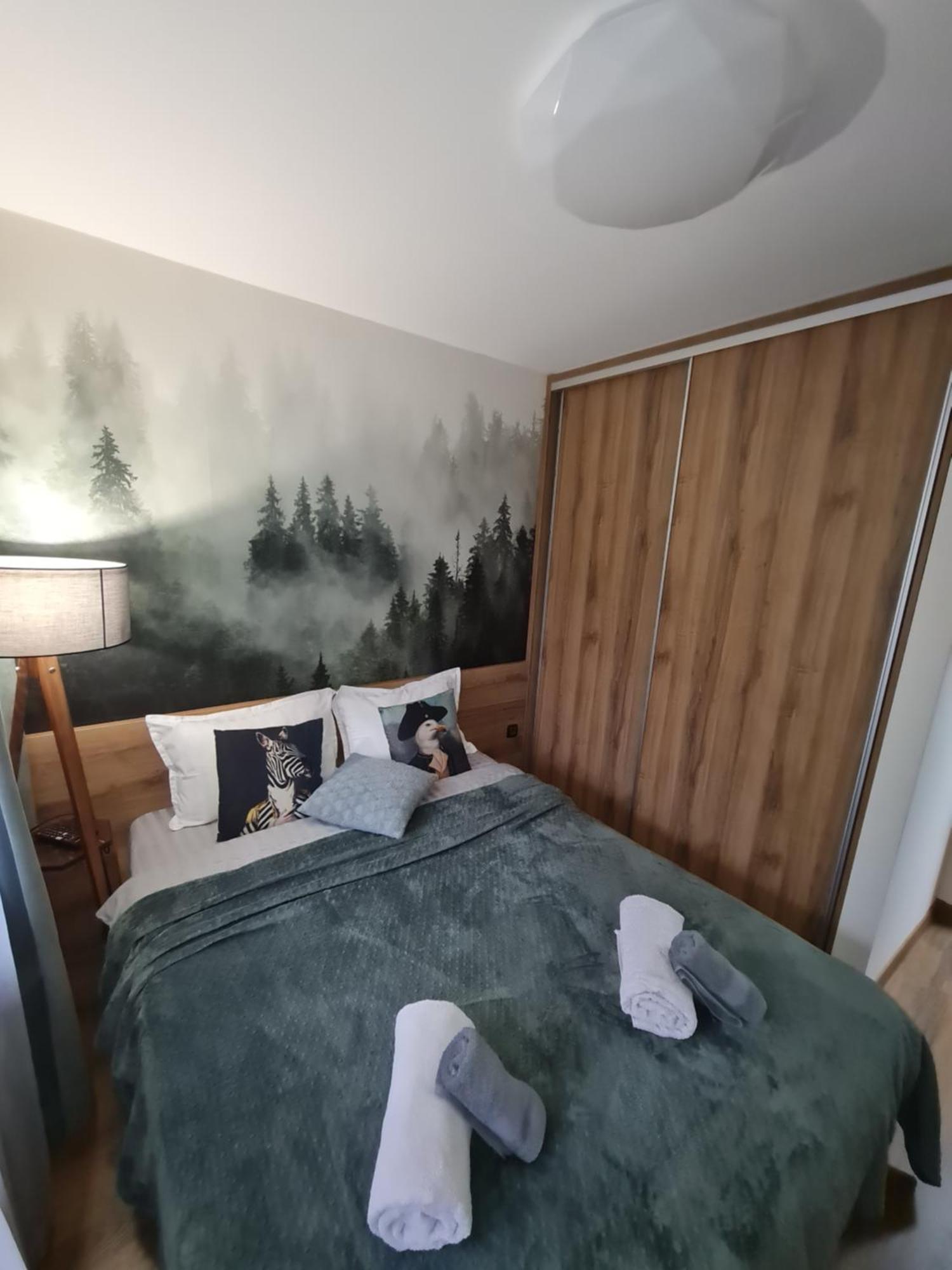 Mountain Peak Apartment Боровец Стая снимка
